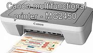 Canon Pixma MG2450 Multifunctional printer for office, school, presentations, charts, full review