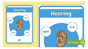 KS1 The Five Senses Hearing A4 Display Poster