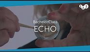 Echo BachelorClass - Your introduction to basic echocardiography