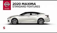 2020 Nissan Maxima S Walkaround & Review