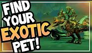Reviewing EVERY Exotic Pet | Hunter Pet Guide | World of Warcraft Shadowlands 9.0.2