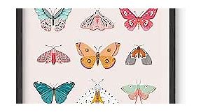 Haus and Hues Vintage Butterfly Posters & Butterfly Prints - Butterfly Poster Vintage Butterfly Art Wall Decor & Butterfly Art Prints Monarch Butterfly Wall Art Butterflies Print (Black Framed, 12x16)