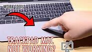 7 Ways to Fix Trackpad Mouse Not Working on Mac (Touchpad Error)