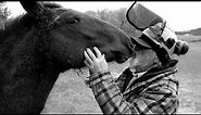 The Appalachian Horse Whisperer