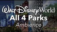 Walt Disney World All 4 Parks Ambience | Walt Disney World Park Ambience