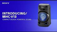 Introducing the Sony MHC-V13 High Power Audio System