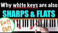 Why ALL Piano keys are sharps and flats 🎹