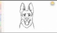 German Shepherd dog front face drawing | How to draw German Shepherd step by step | Dog drawings