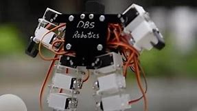 Meet The World’s Smallest Humanoid Robot