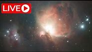 LIVE - Capture the BRIGHTEST Nebula in the Sky (L-Quad Enhance Filter)