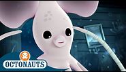 Octonauts - Long Armed Squid & The Fiddler Crabs | Cartoons for Kids | Underwater Sea Education