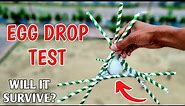 Extreme Egg Drop Test Using Straws From 50 Ft. | क्या अंडा🥚 बच पाएगा? | Egg Science Experiment.
