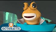 Octonauts - The Mudskippers | Cartoons for Kids | Underwater Sea Education