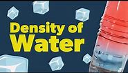 Density of Water and Thermal Expansion | Science Experiment