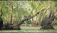 Tour Australia: Kakadu National Park