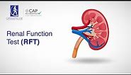 Renal Function Test (RFT)