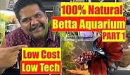 How to Start Right | Betta Aquarium | Beginners Betta Fish Tank | Mayur Dev Aquascaper | PART ONE 4K