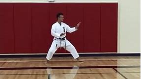 List of Shotokan Katas (with Video & Written Instructions) - Black Belt Wiki