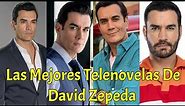 Las Mejores Telenovelas de David Zepeda - TvyNovelas