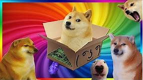 Doge Unboxing (Boxception: Box inside a box) [Darude Sandstorm in forest Dogelore meme]