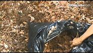 How to Compost Autumn Leaves