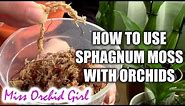 How to use sphagnum moss with orchids