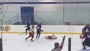 Hockey Videos | Hockey Memes on Instagram: "Blind ref"