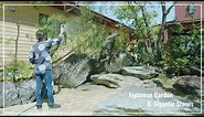 (Pro.61 - ep.1) Gigantic stones and Japanese garden. Creating a Japanese garden in the courtyard.