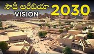 Saudi Arabia Vision 2030 explained