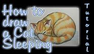 How to draw a Cat Sleeping