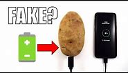 ⚡Can You Charge a Phone with a Potato Battery?🥔