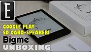 Bigme Read Unboxing - 2023 - Their first pure e-reader