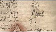 Leonardo da Vinci's Codex on the Flight of Birds