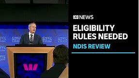 NDIS review says clear rules are needed about who is eligible | ABC News