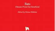 Bats in Folklore and Culture: A Review of Historical Perceptions around the World