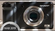 Sharp 8K Micro Four Thirds Camera – Prototype First Look and Interview