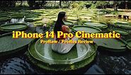 iPhone 14 Pro Max 4K Cinematic ProRaw / Prores Review