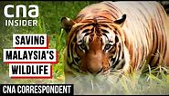 Saving Malaysia's Endangered Animals From Extinction | CNA Correspondent