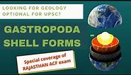 SHELL FORMS OF GASTROPODS (Mollusca) | Palaeonotology (Geology) #UPSCGeologyOptional #RPSC #ACF