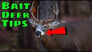 How To Bait Deer TIPS/TRICKS 2020
