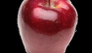 Red Delicious Apple Review - Apple Rankings by The Appleist Brian Frange