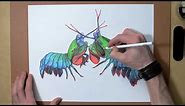 Mantis Shrimp - Time Lapse Drawing - Peacock Mantis Shrimp Illustration