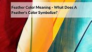 Feather Color Meaning: Discover The Hidden Message They Hold