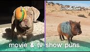 Animal Movie & TV Puns | The Pet Collective