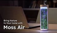 Bring Nature to Your Home - Moss Air