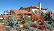 61 Unique Desert Landscaping Ideas for Every Style