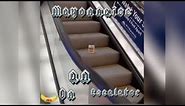 Mayonnaise on an escalator Full (lyrics)