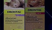 Drontal Wormer for Cats - Buy Drontal All Wormer Tablets Online | Vetsupply