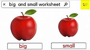 Big and Small Concept with worksheet | math worksheet for class 1 | toppo kids