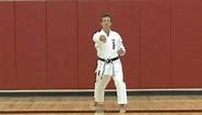 Intermediate Karate Punches